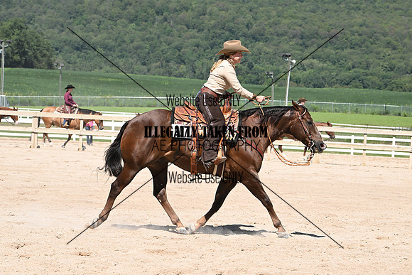 AJB_4184