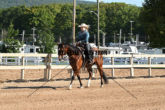 AJB_3554
