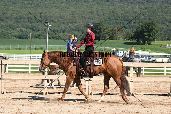 AJB_3670