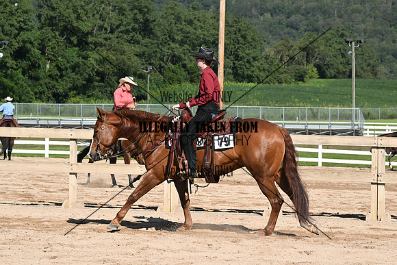 AJB_3684