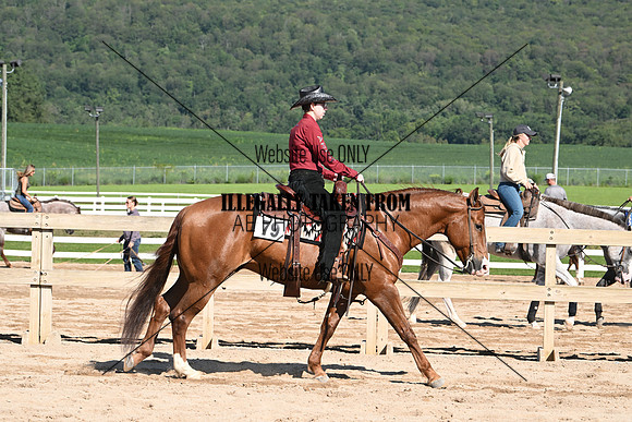 AJB_3685