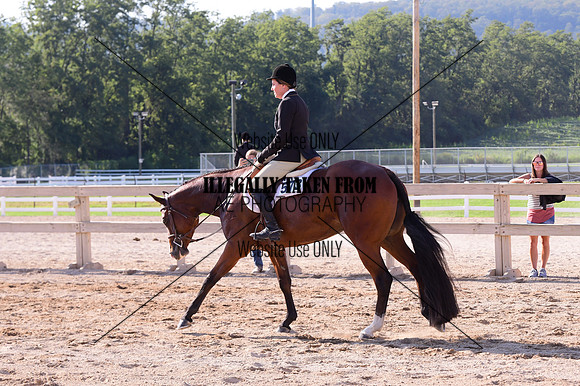 KE1_6963