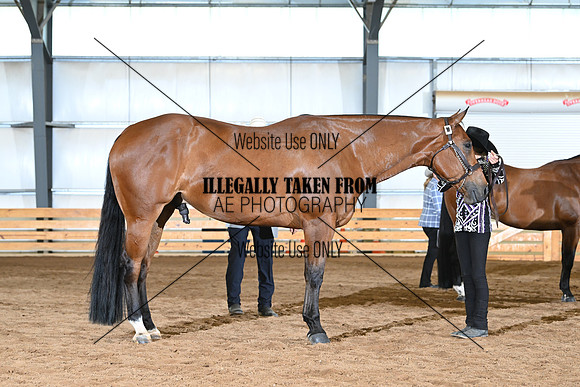 AJB_5691