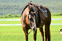 AJB_5796