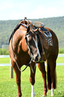 AJB_5802