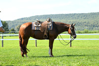 AJB_5807