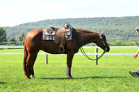AJB_5809