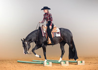 Horse Shows