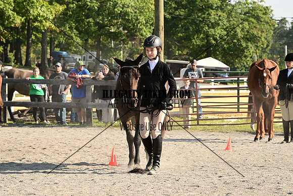 AJB_0271