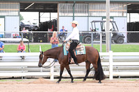 93. Level 1 Green Western Pleasure