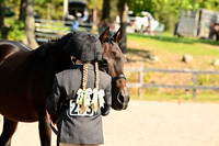 AJB_0333