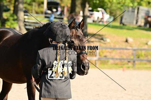 AJB_0333