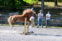 AJB_1174