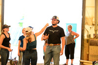 AJB_0353