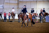 9 Level 1 Youth Hunter Under Saddle 13 & Under