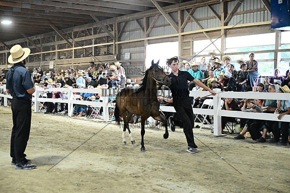 AJB_0768