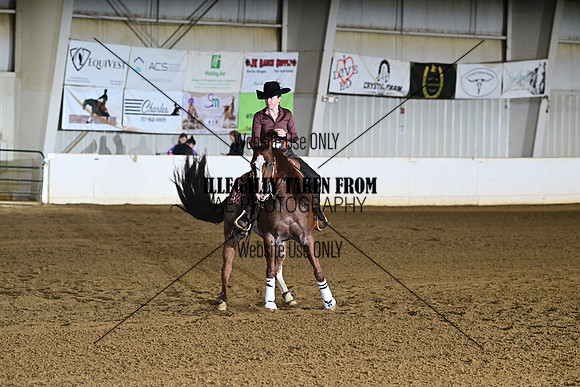 AJB_1529