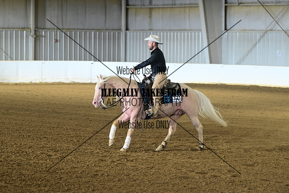 AJB_6196