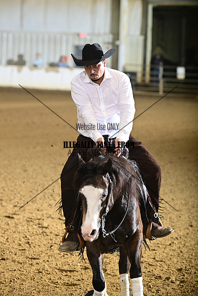 AJB_9051