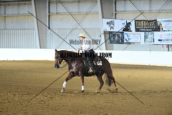 AJB_7619
