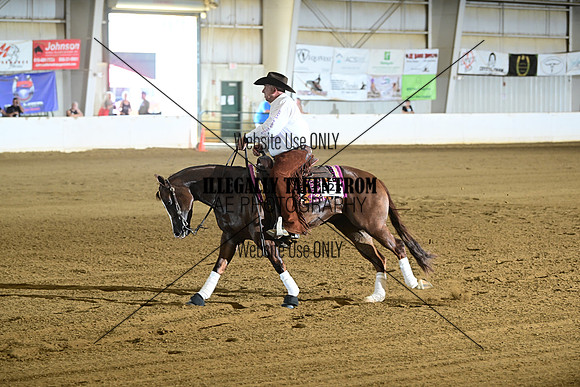 AJB_6782