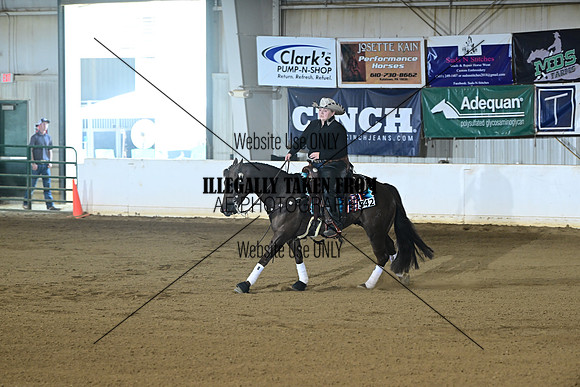 AJB_6537