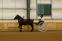 Sr. Youth Cart-6