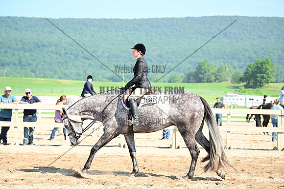 AJB_9059