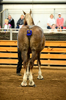 AJB_5961