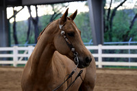 AJB_4814