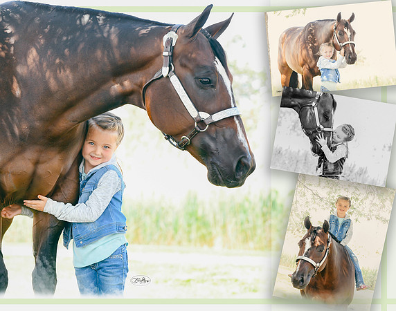 Collage2