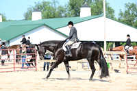 AJB_6573