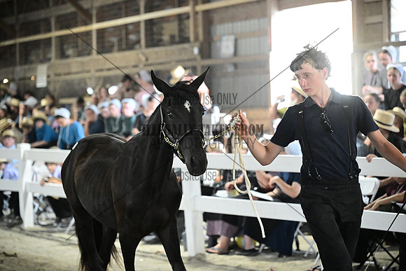 AJB_0696