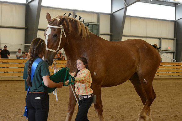 Jr. Youth Showmanship-50