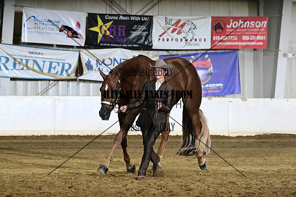 AJB_3206