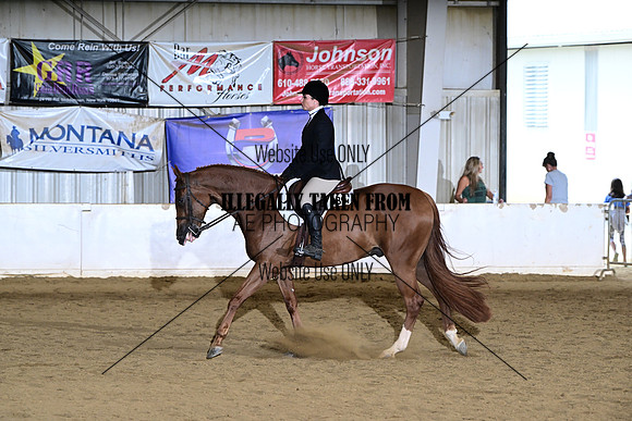AJB_6319