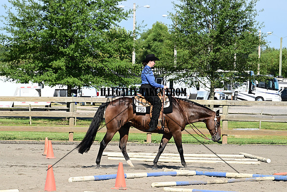 AJB_5390