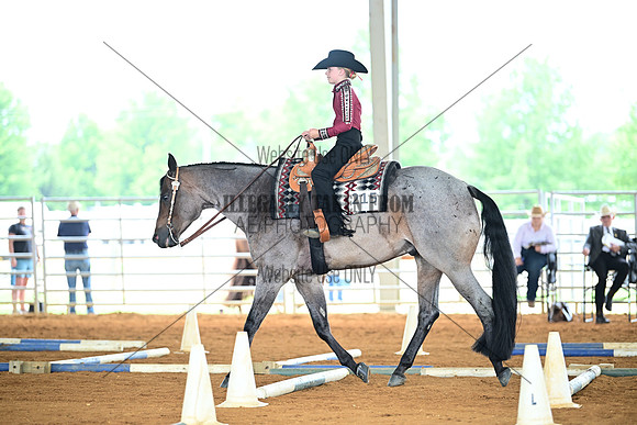 AJB_1219