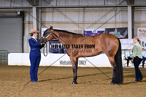 ASH_2286