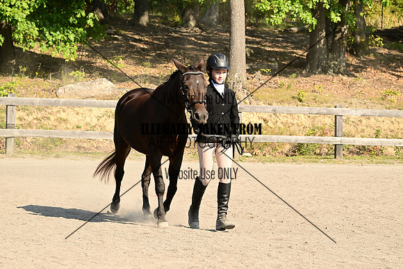 AJB_0274