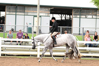 AJB_6461