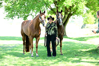 AJB_3473