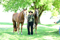 AJB_3478