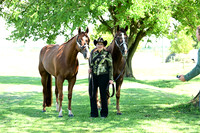 AJB_3477