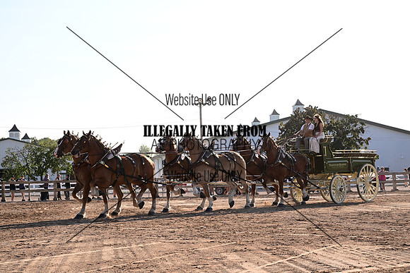 AJB_8014