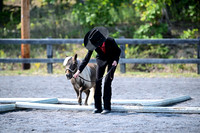 AJB_0938