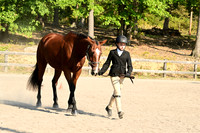 AJB_0322