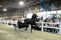 AJB_0754