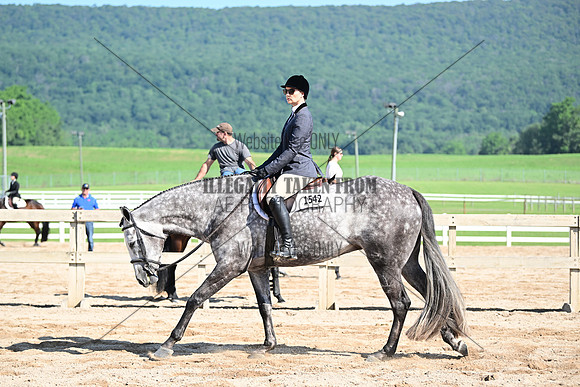 AJB_6517