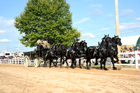 AJB_0496